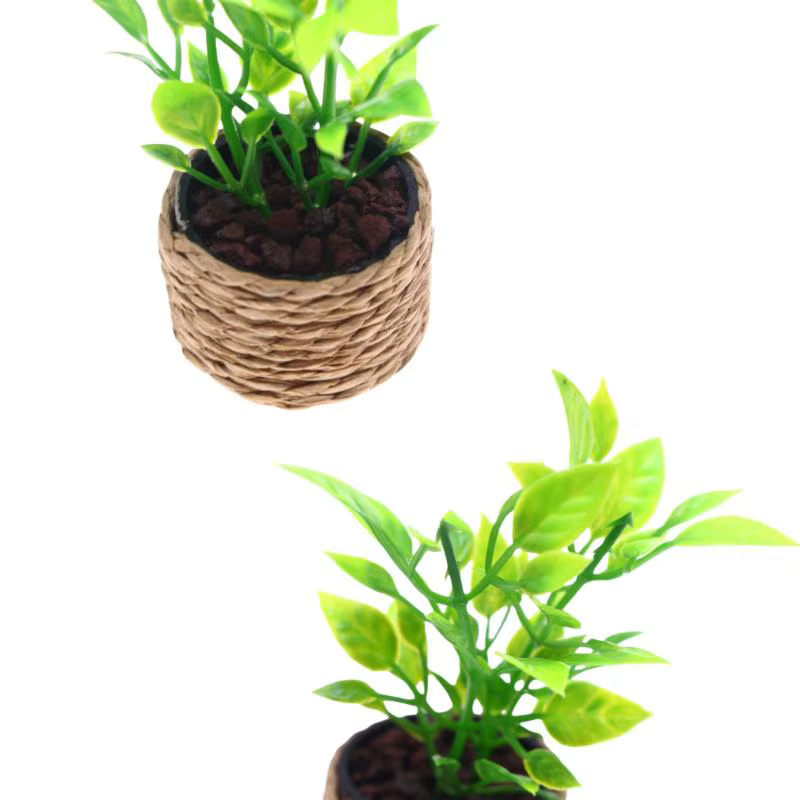 Mini arbre à oranges en pot