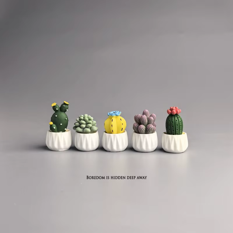 Cactus et succulentes en pot