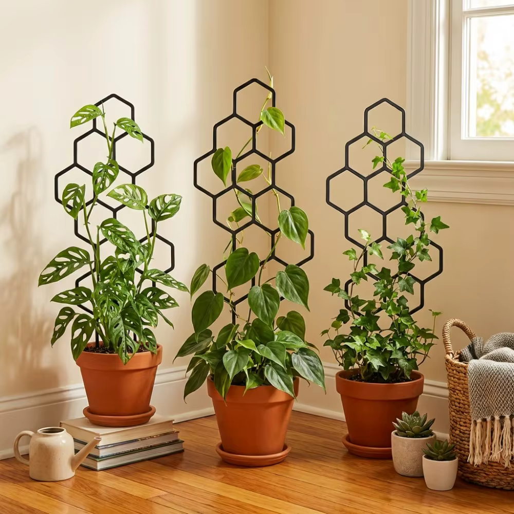 Support de plantes grimpantes en nid d'abeille