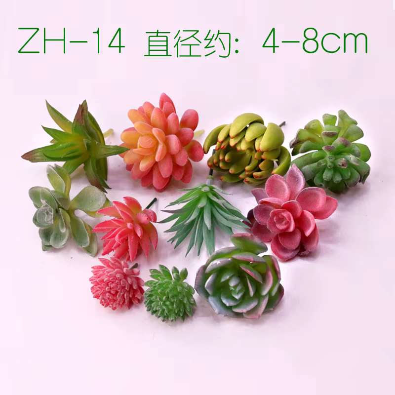 Plantes succulentes artificielles