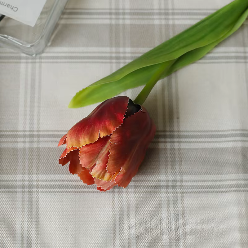 InjFlower-Perroquet Élà une branche