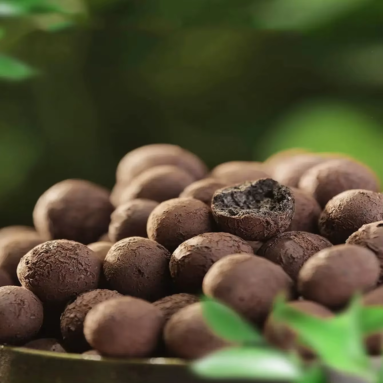Boules Leca en argile pour plantes