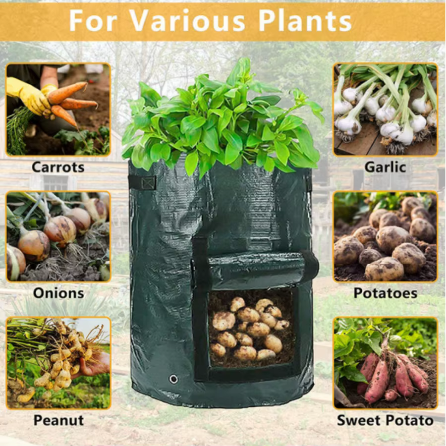 Sacs de culture de plantes PE