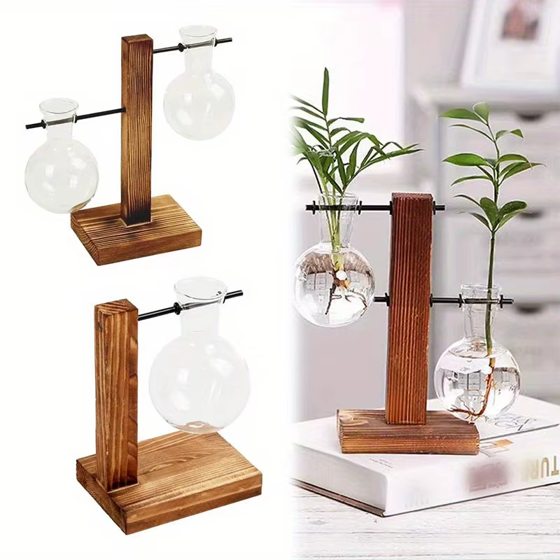 Vase en verre hydroponique