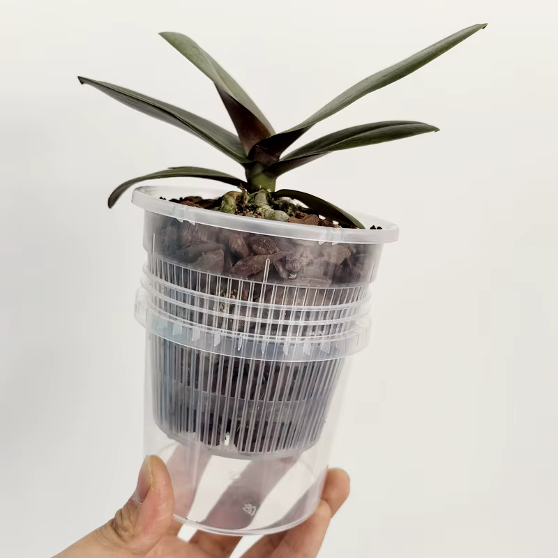 Pot de fleurs auto-arrosant à double couche pour plantes