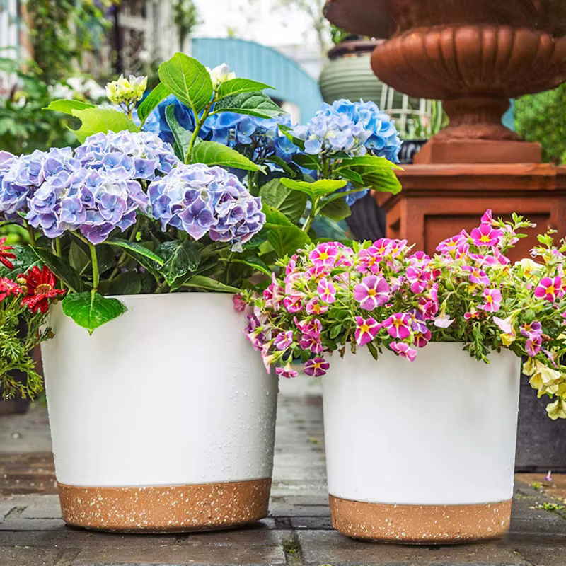 Jardinières paresseuses à arrosage automatique