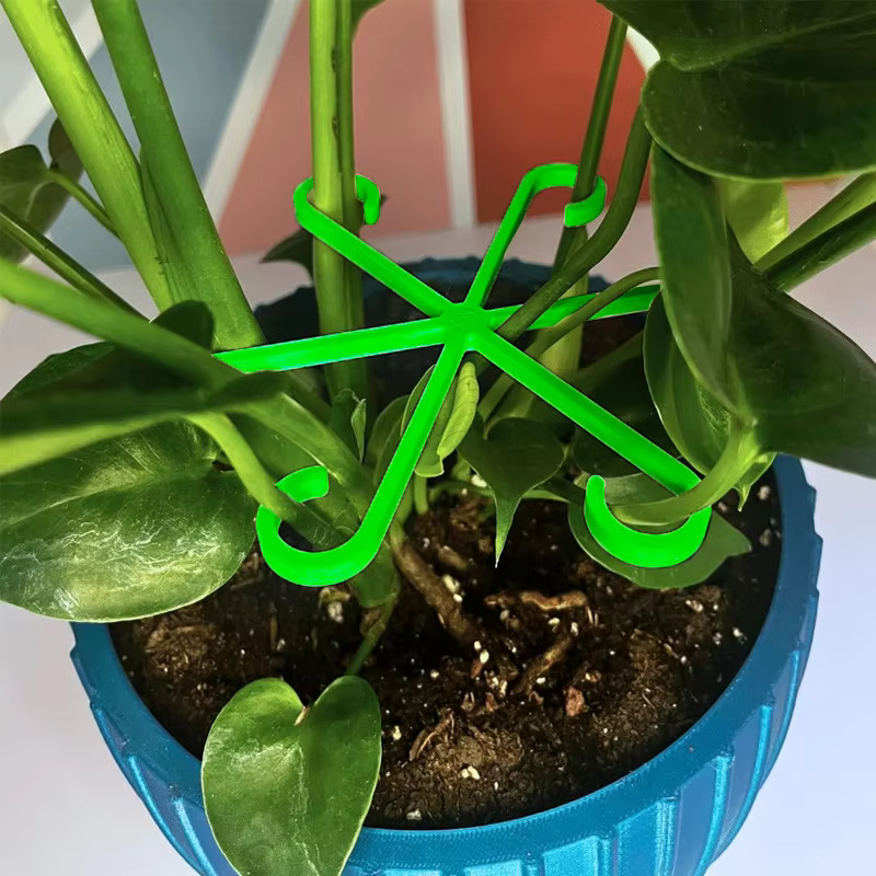 Clips de Support pour plantes grimpantes
