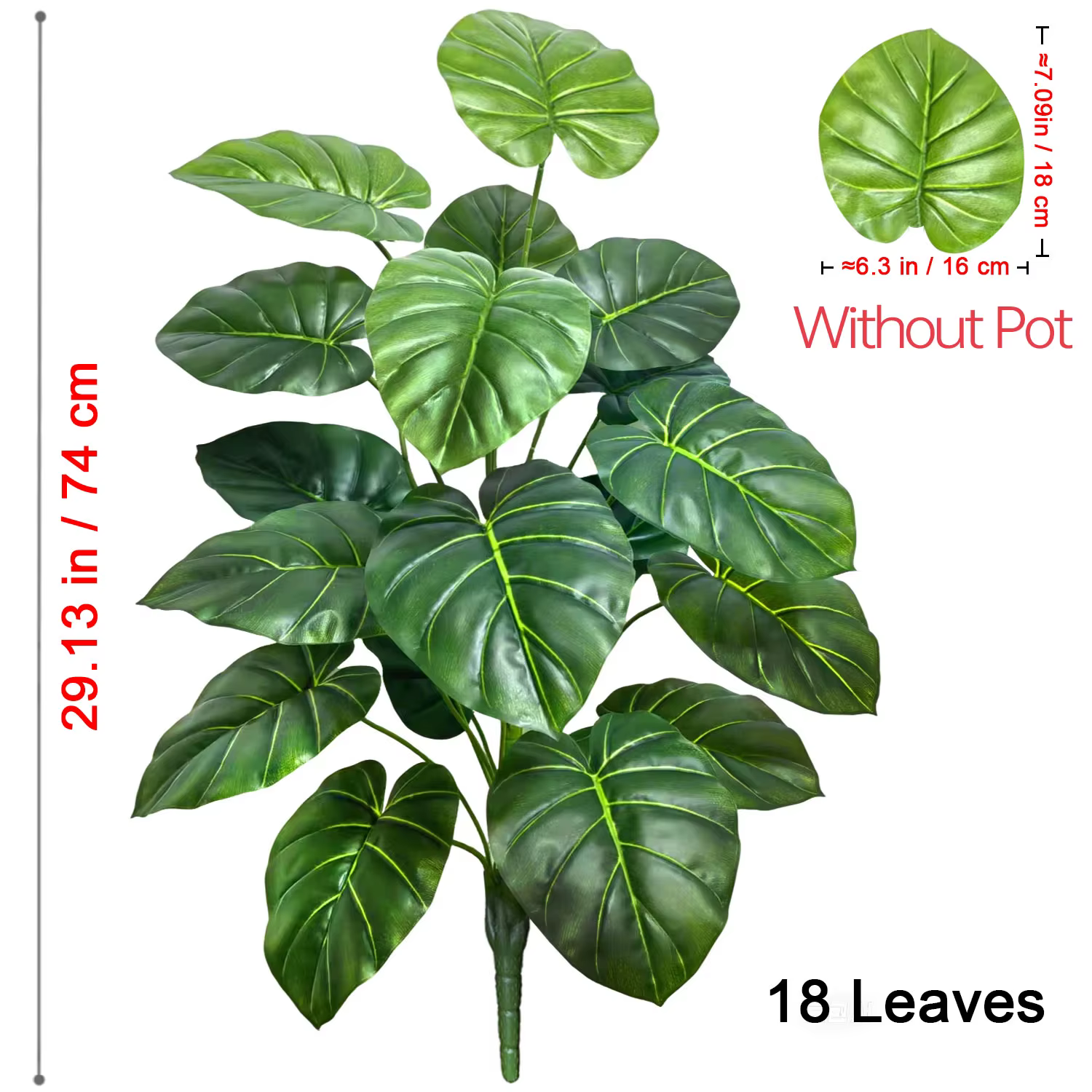 Plante Alocasia à grandes feuilles rondes de 60-105 cm