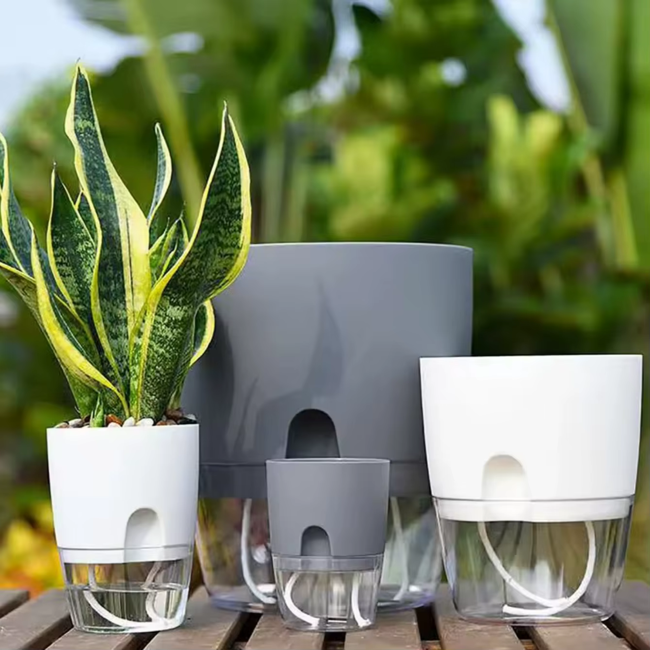 Jardinières à arrosage automatique