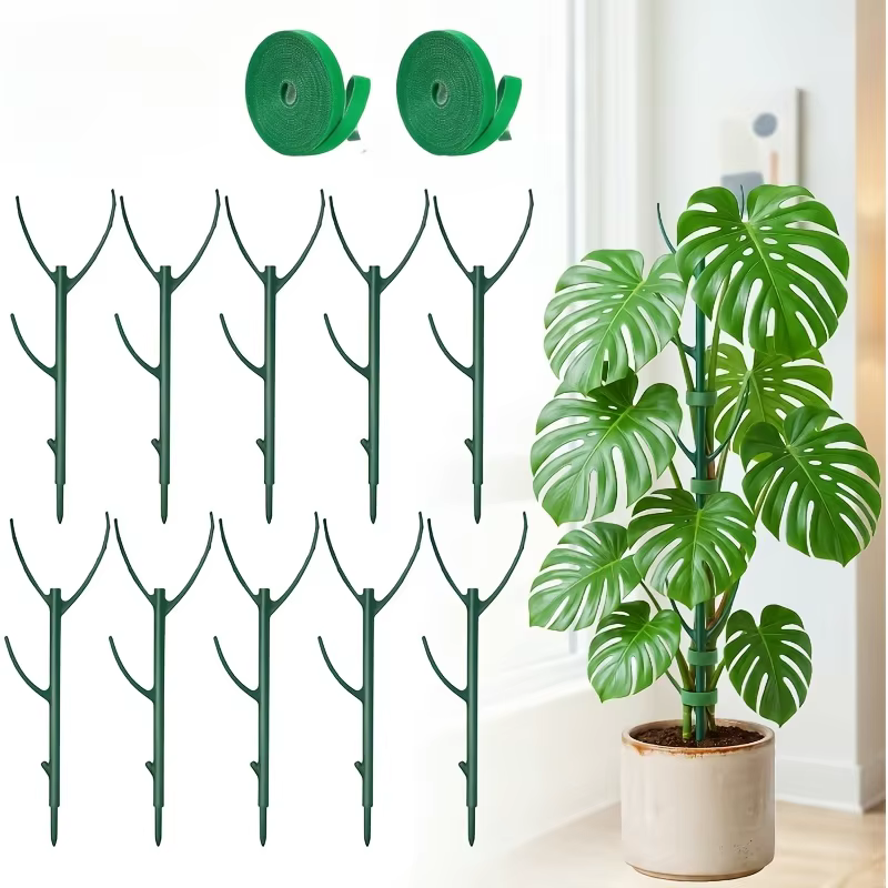Comprend 10 poteaux en mousse de Monstera et 2 rouleaux