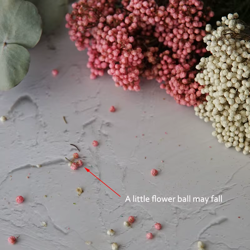 Fleur de Millet de riz
