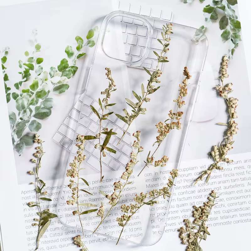 12 pièces, fleurs pressées séchées Artemisia naturelles