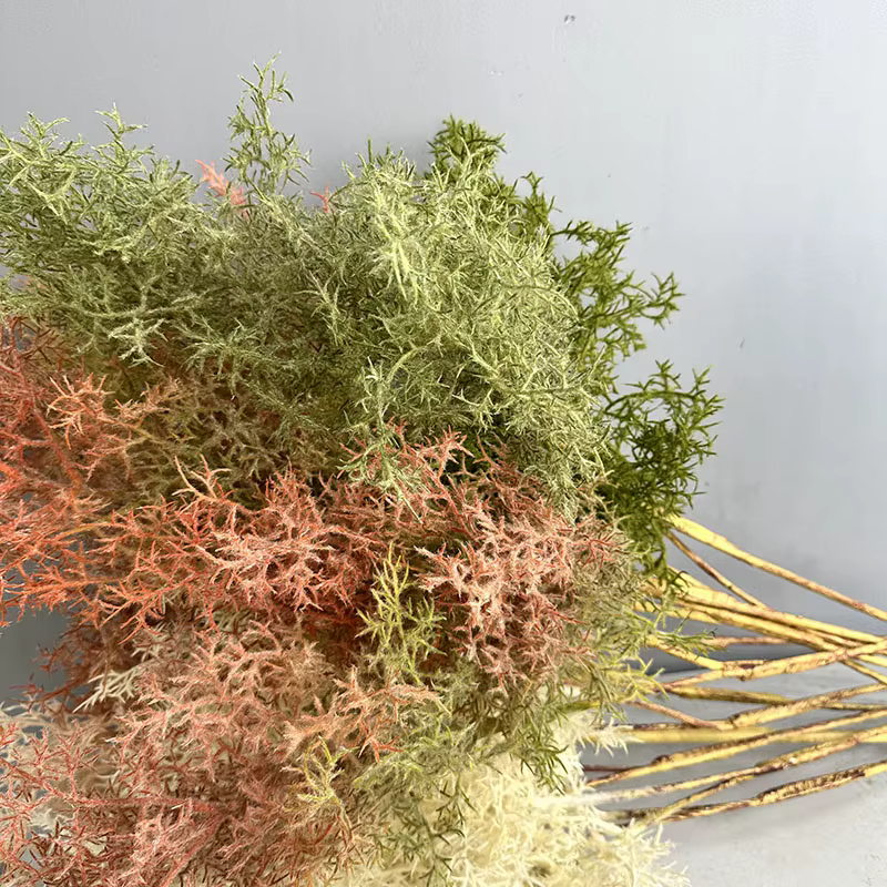 Plantes vertes enrichies de brume artificielle