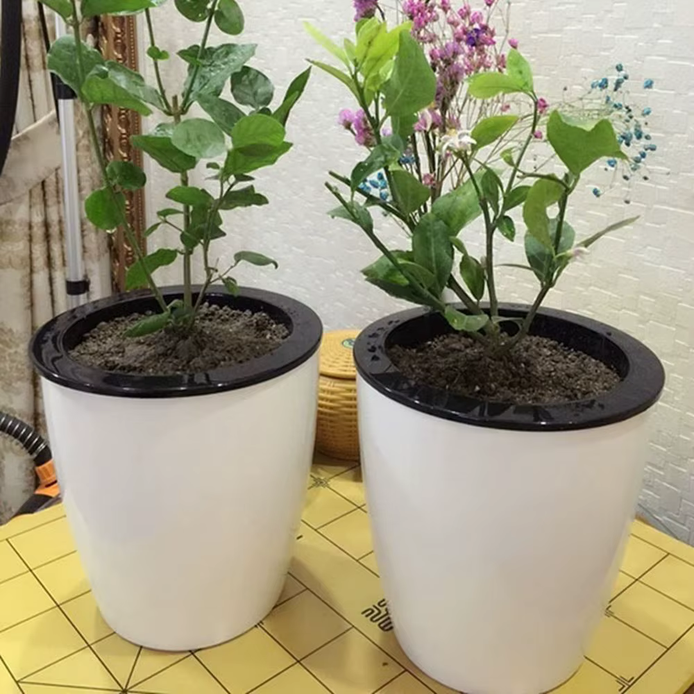 Panier de jardinage automatique en plastique pour plantes auto-arrosantes