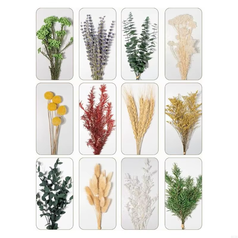 Bouquet fleurs naturelles préservées