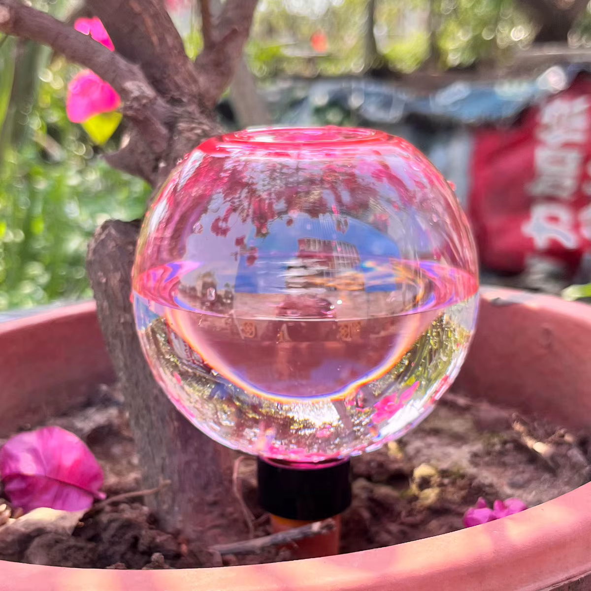 2 boules d'arrosage automatiques pour plantes
