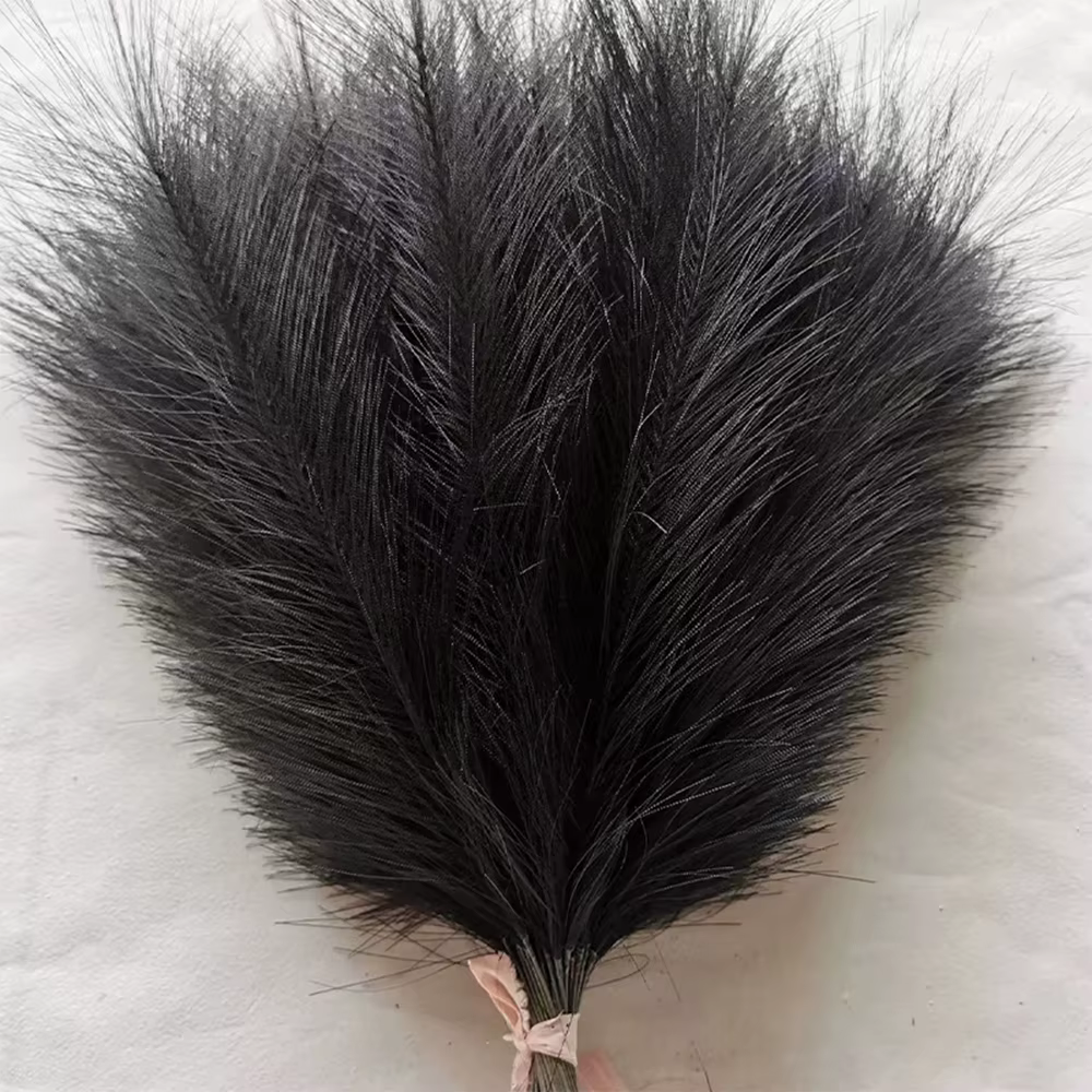 Pampa pelucheux noir, 100 pièces