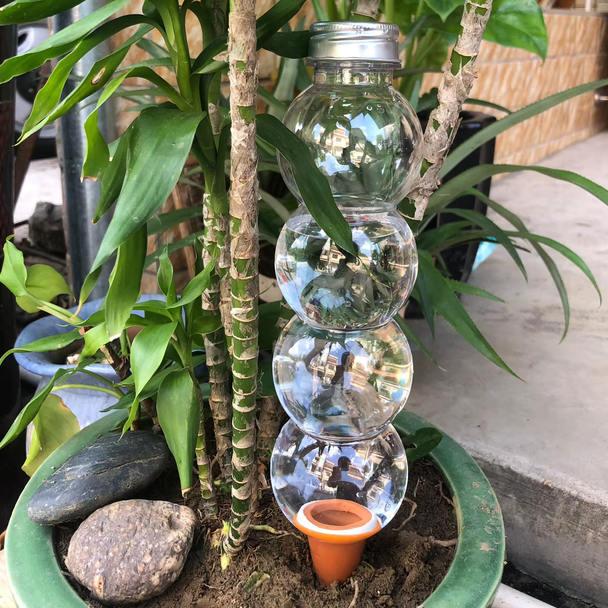 1 pièce - Dispositif d'arrosage automatique créatif - Arroseur pour plantes - Outils de jardinage