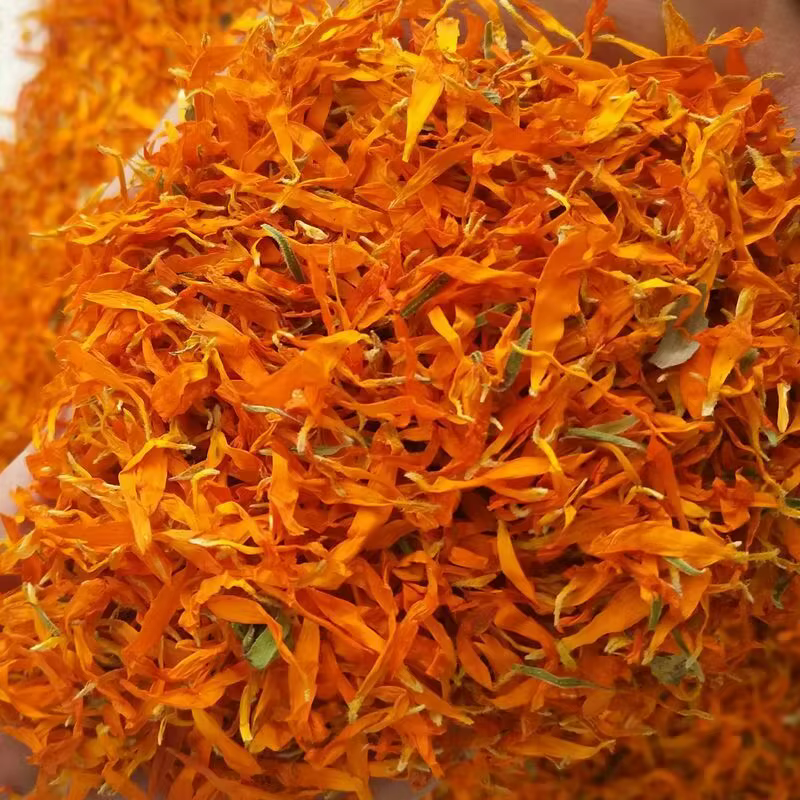 Pétalon de fleur de calendule séché de qualité 100%