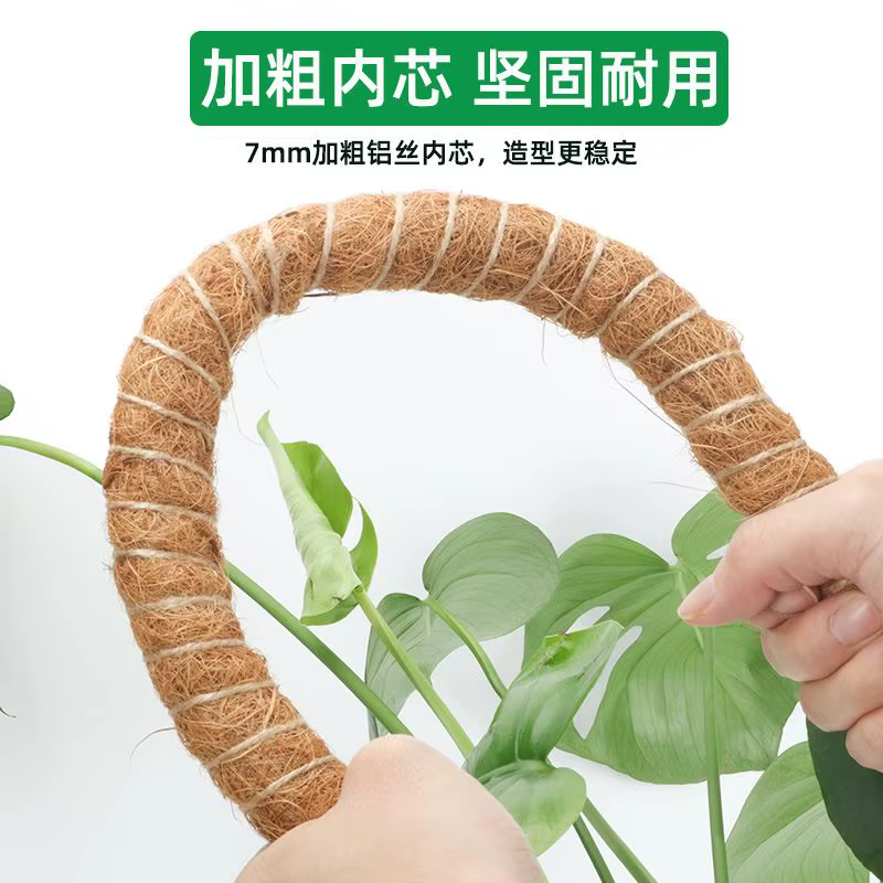 Support de plante grimpante en forme de bâton de palmier de coco