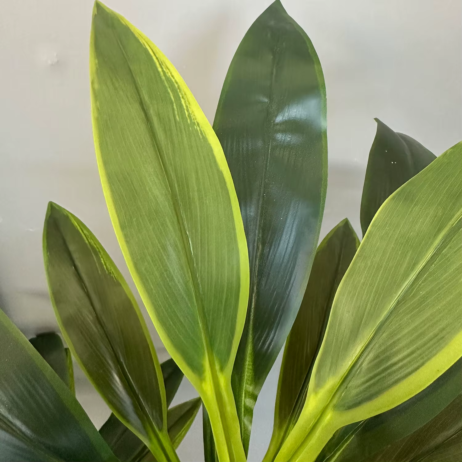 Plante Dracaena verte artificielle 50-225CM