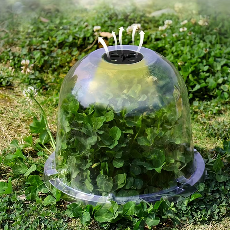 Dôme de protection contre l'humidité pour plantes en plastique réutilisable