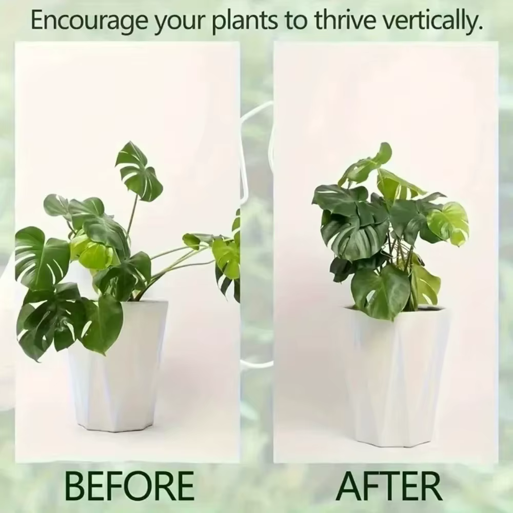 2 supports suspendus fixes en fer pour plantes