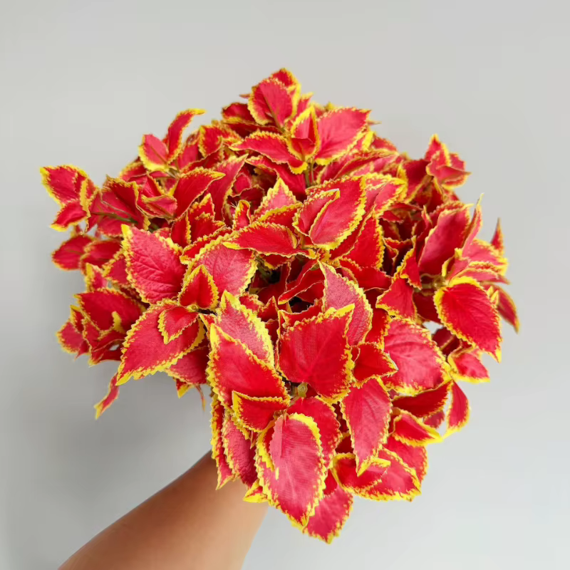 10 pièces de feuilles de perilla artificielles en soie pour mariage