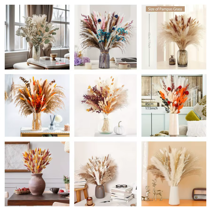 Bouquet de fleurs de Pampas séchées naturelles