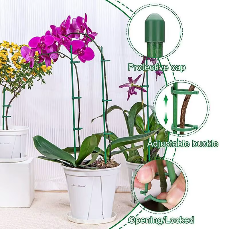 Piquets de Support pour plantes