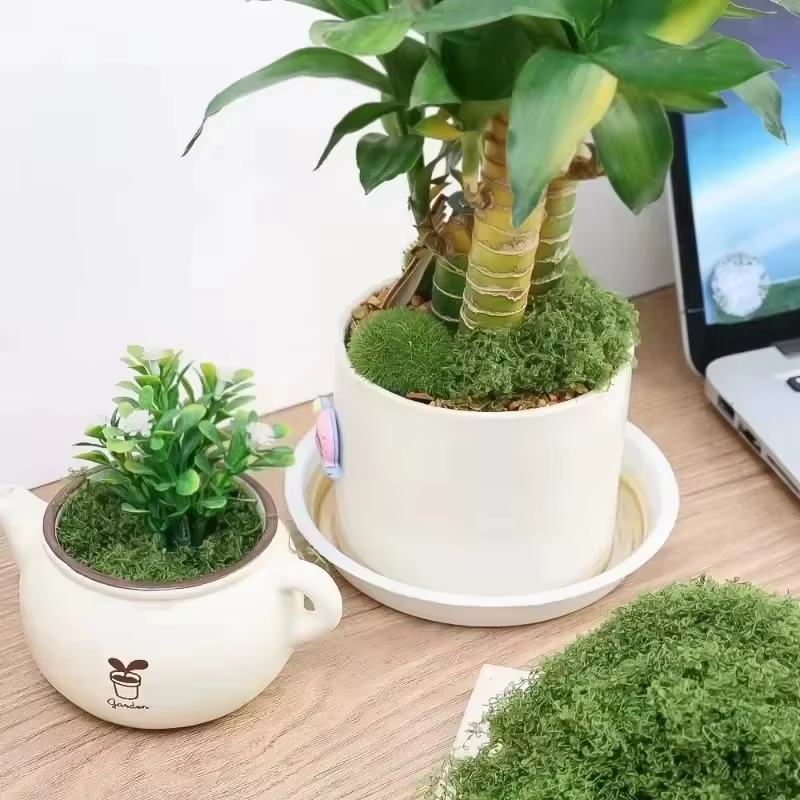 Plantes vertes artificielles