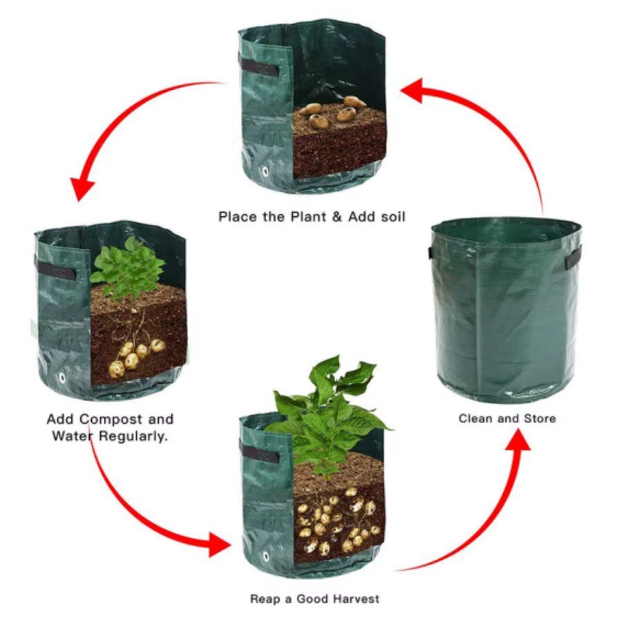 Sacs de culture de plantes PE