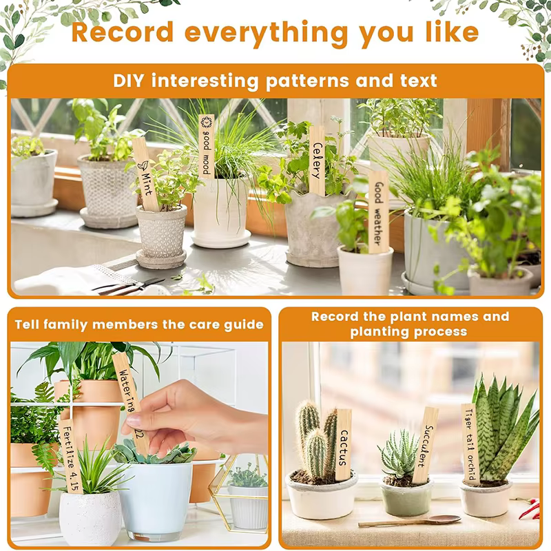 Étiquettes de plantes en bambou