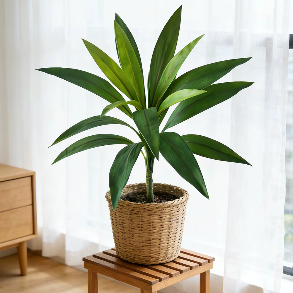 Plantes artificielles Dracaena de 45 cm à 17 feuilles