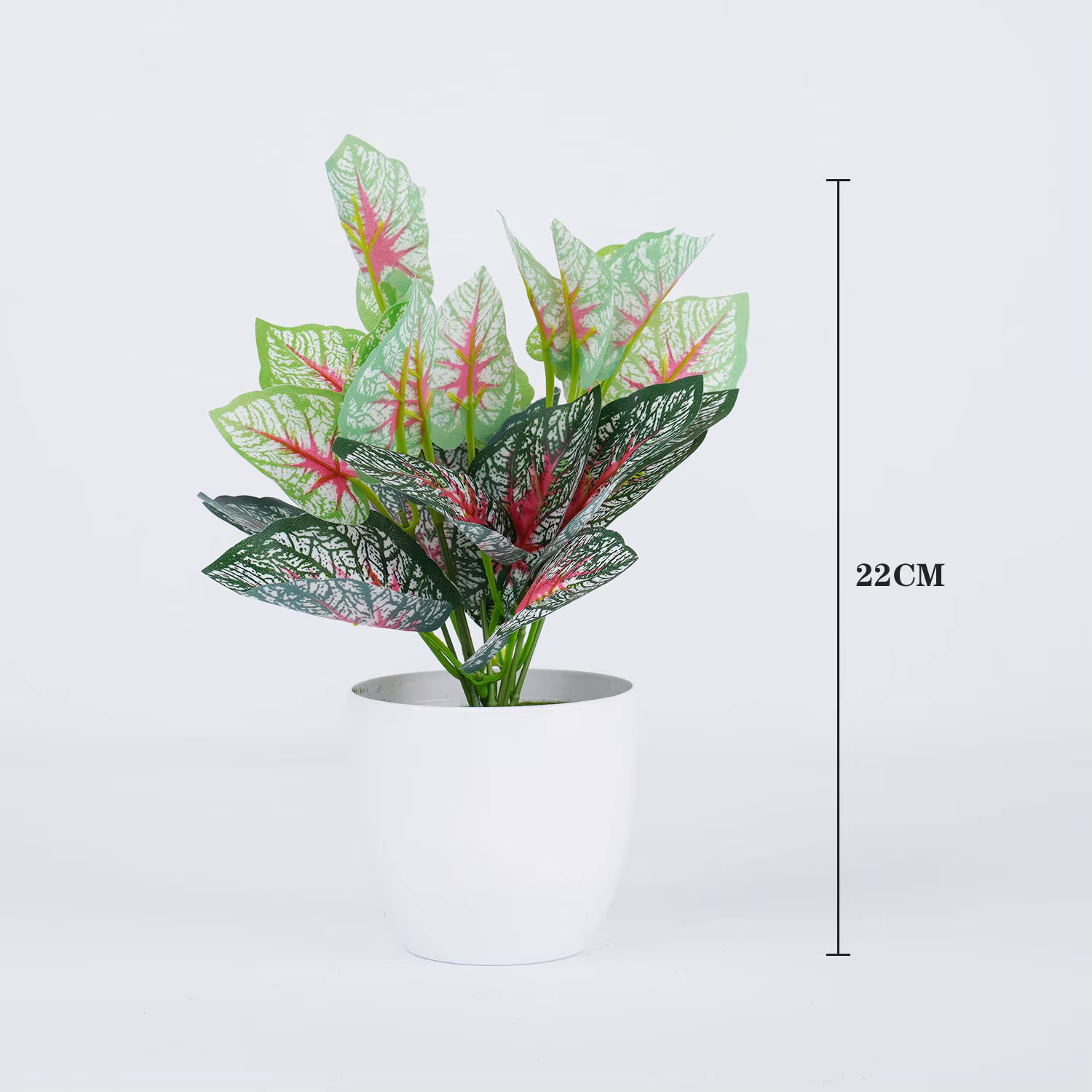 Plantes vertes artificielles bonsaï