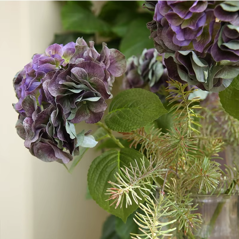 Grandes fleurs d'hortensia hydratantes au toucher