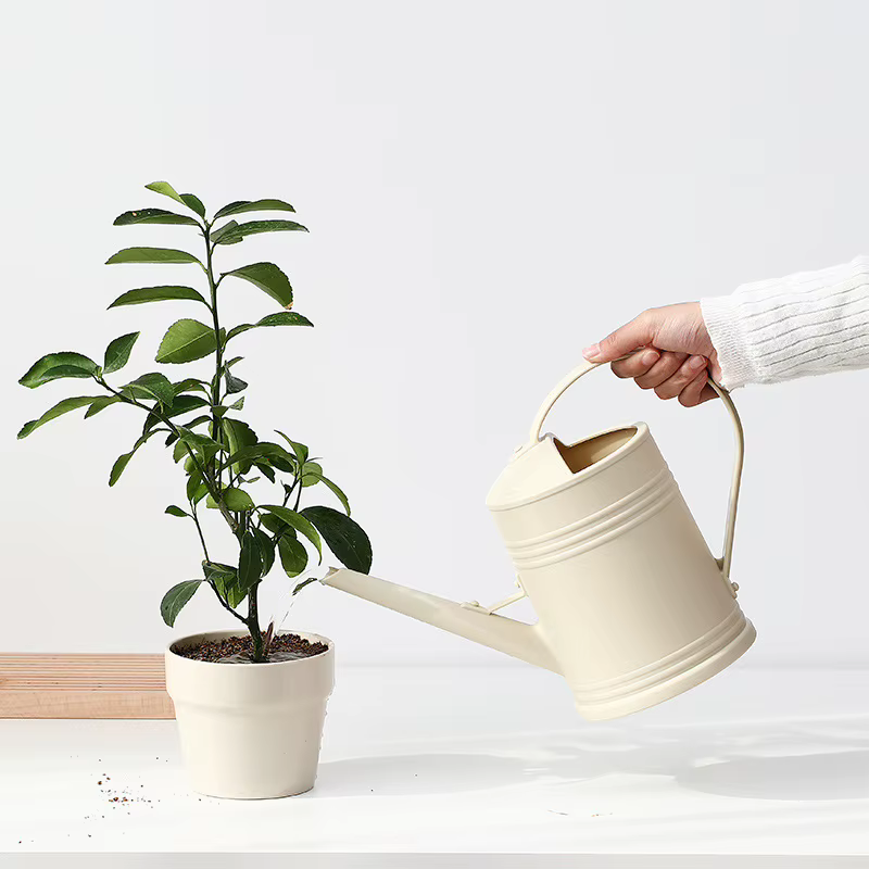 Arrosoir à long bec de 2 L pour fleurs