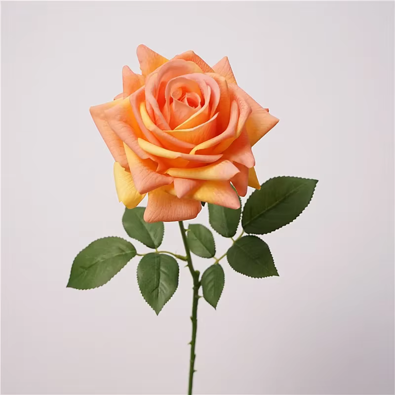 5 pièces sensation hydratante vraie touche Rose fleur fleurs artificielles décor de Mariage