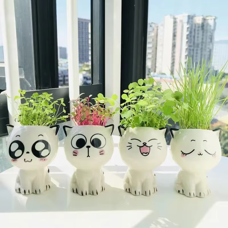 Pot de fleurs en céramique