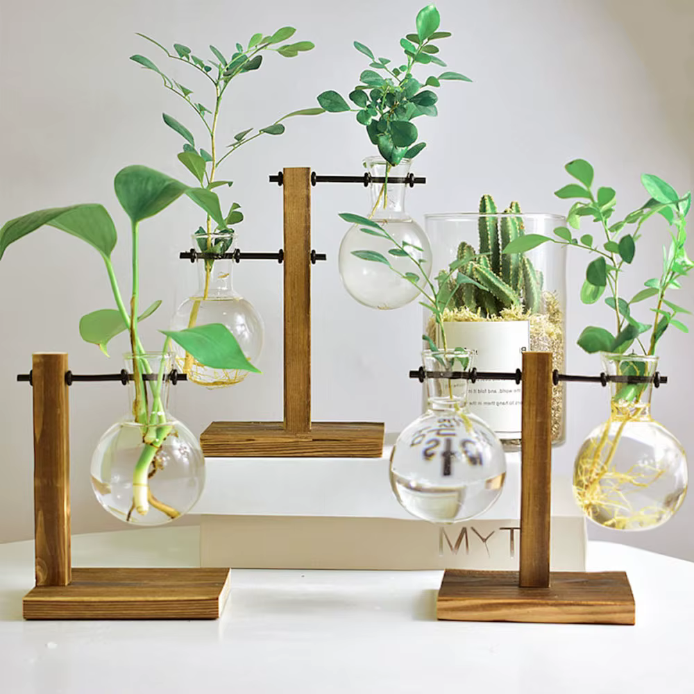 Vases à plantes, pots de fleurs