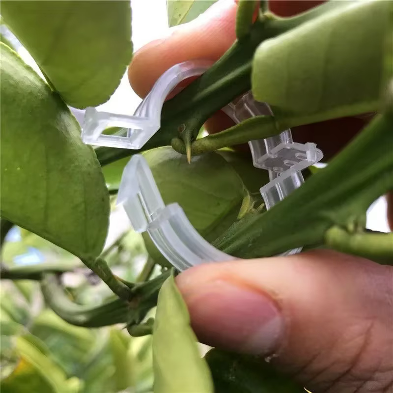 Clips de Support de plantes en plastique réutilisables