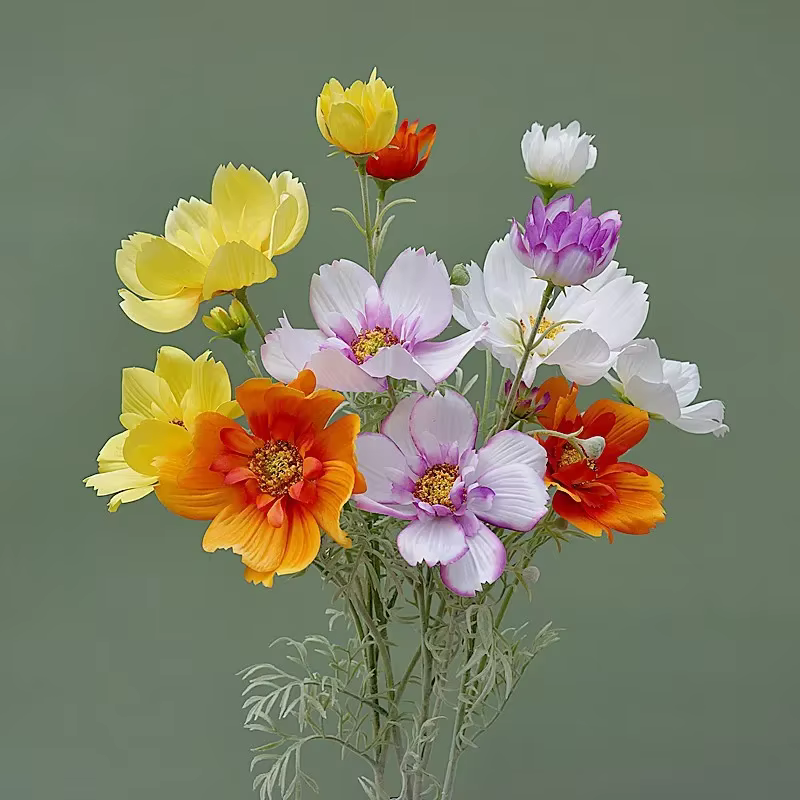 Gesang-Fausse fleur cosmos à branche unique