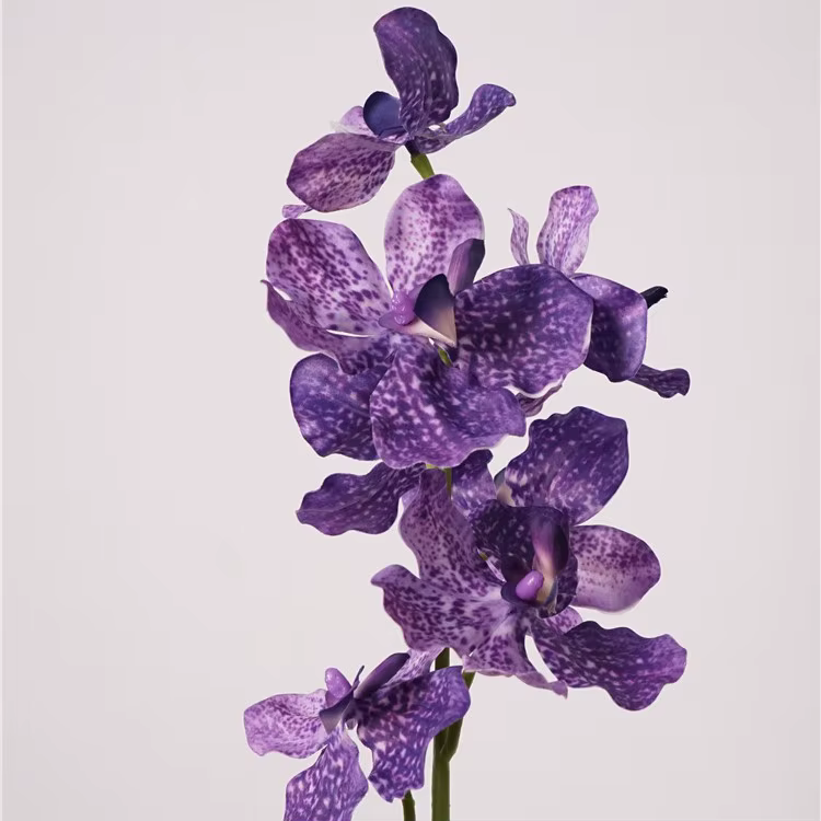 Fleur d'orchidée Vanda artificielle hydratante