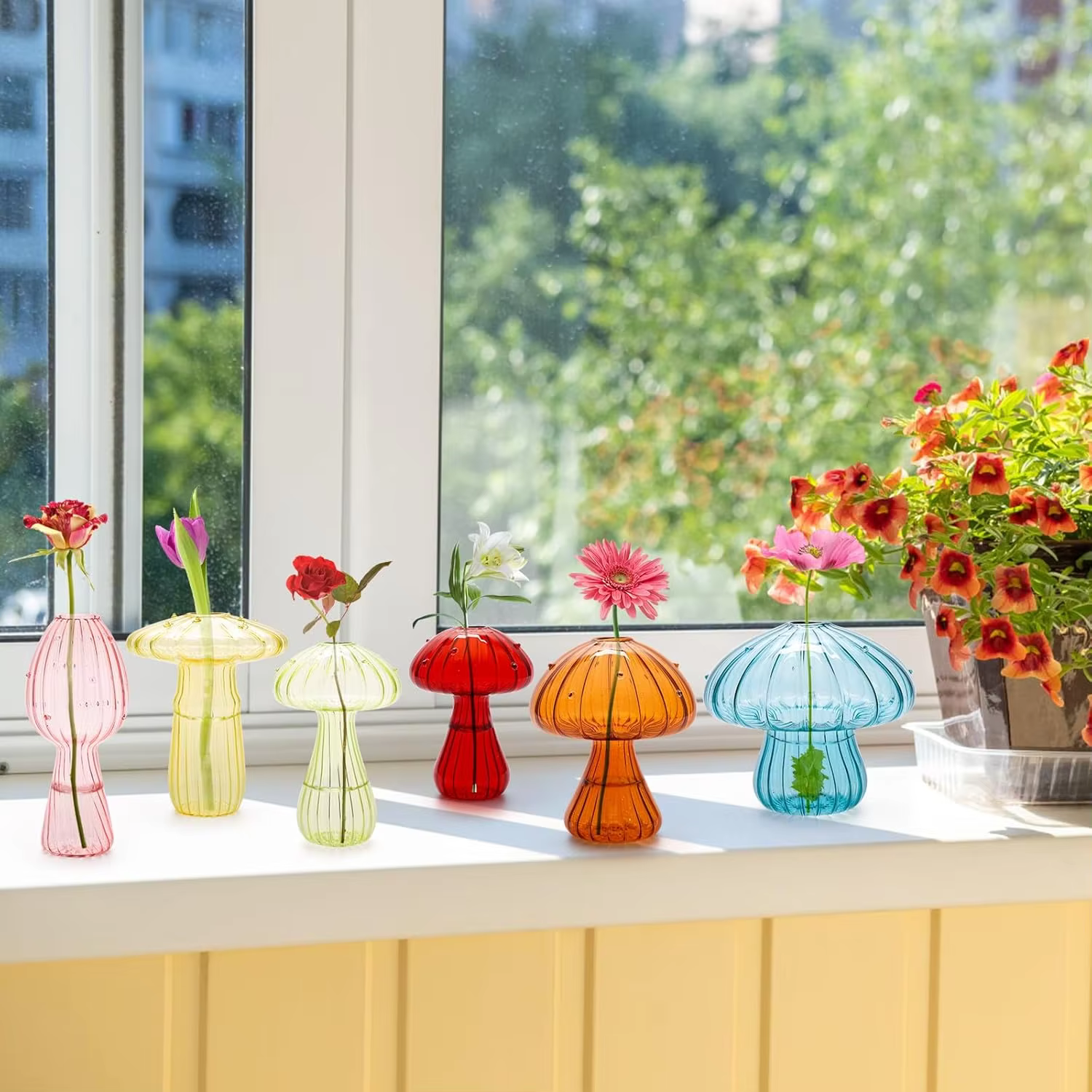 Ensemble de vase en verre à champignons – Mini Terrarium de propagation pour plantes et fleurs | Décor mignon pour la