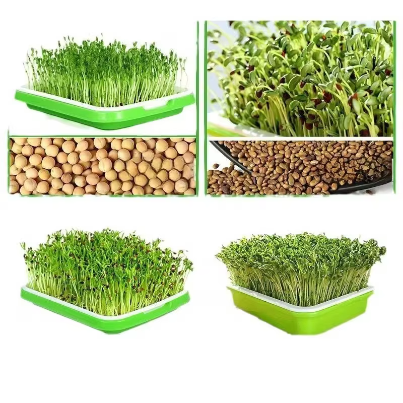 Kit de germination rapide pour semis