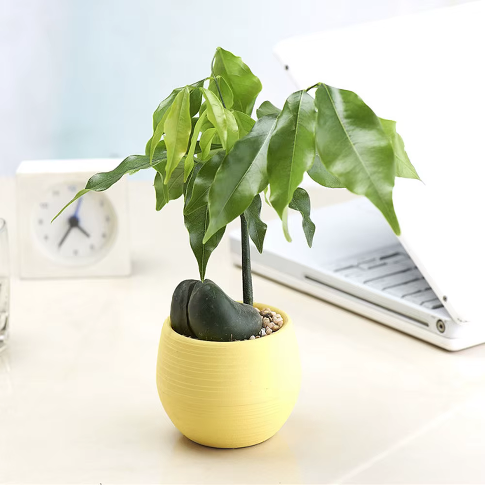 Mini pot de fleurs rond en plastique écologique