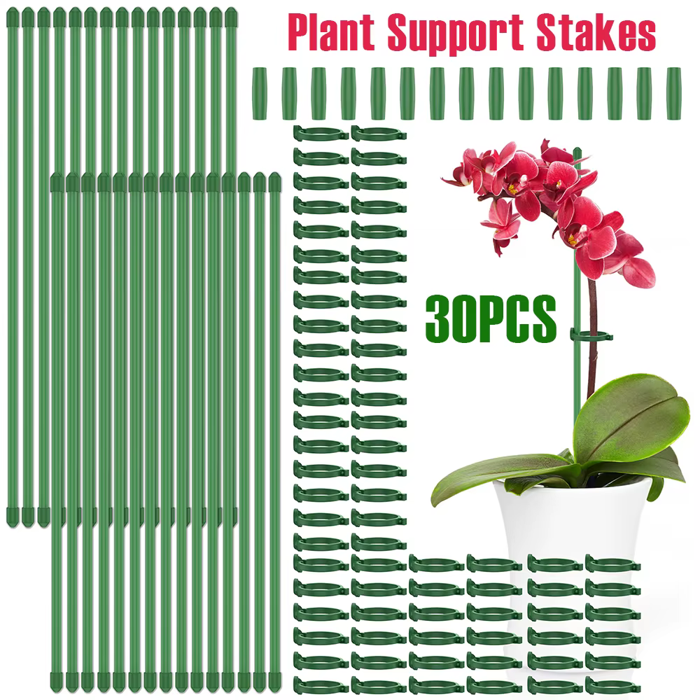 Piquets de Support pour plantes