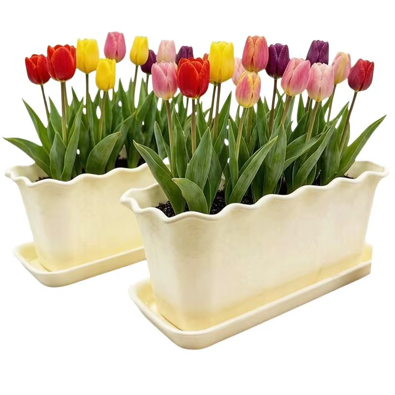 Soucoupe rectangulaire ondulée pour pot de fleurs