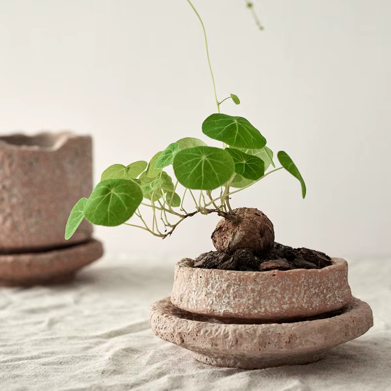 Petit pot de fleurs en céramique fait à la main
