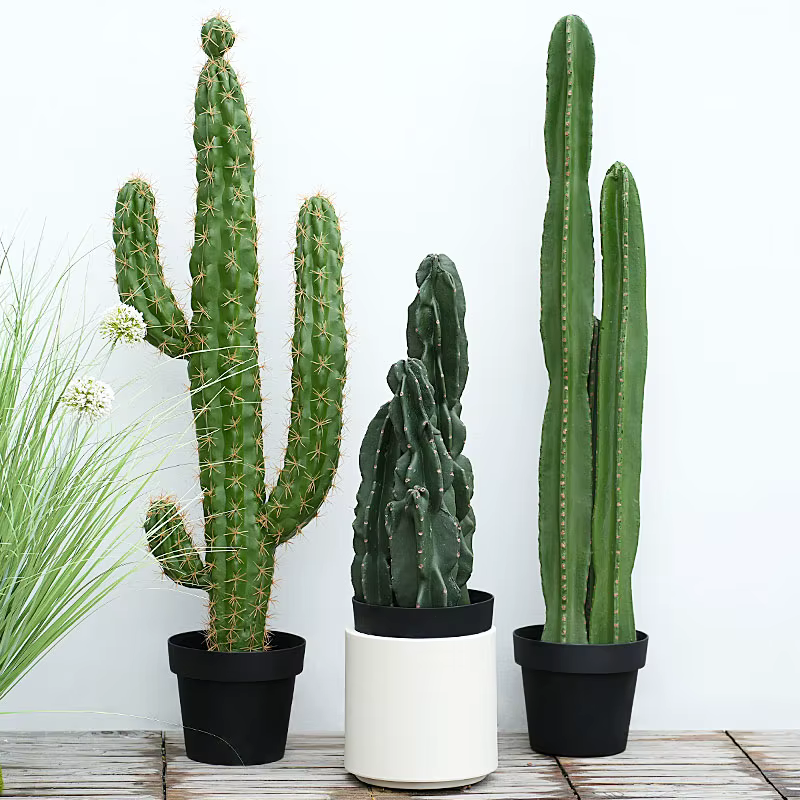 Plante succulente verte artificielle au toucher réaliste avec pot